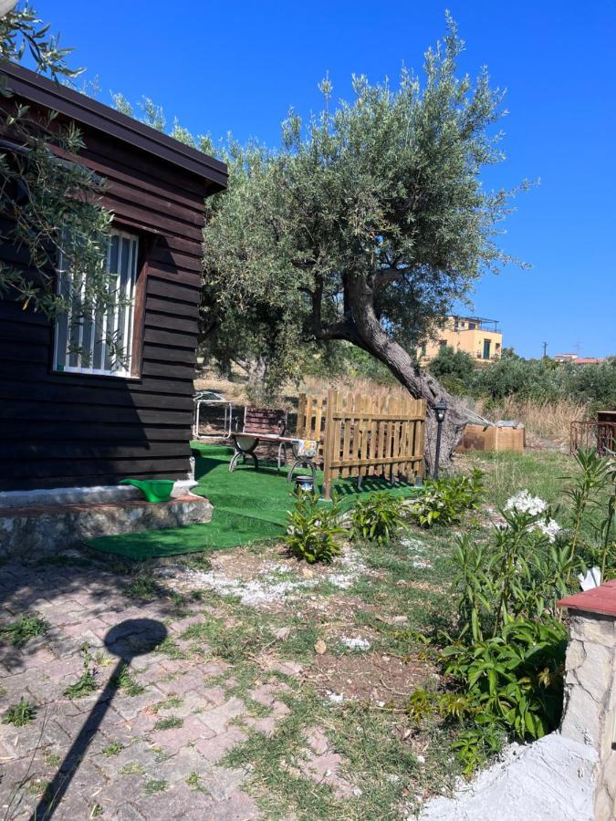 All’Ulivo saraceno Villa Trabia Exterior foto